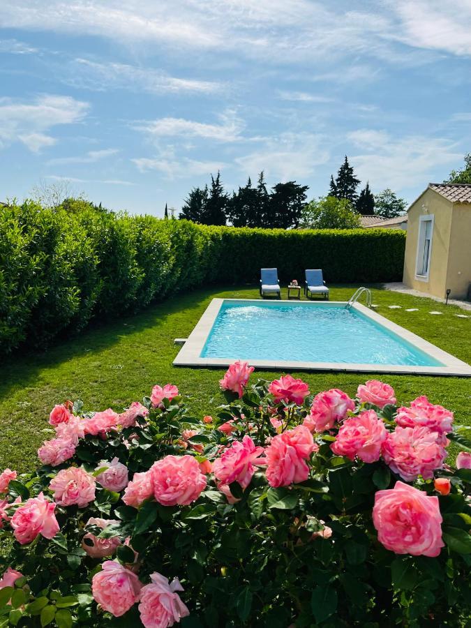 Un Coin Tropical En Provence ! Hotell LʼIsle-sur-la-Sorgue Eksteriør bilde